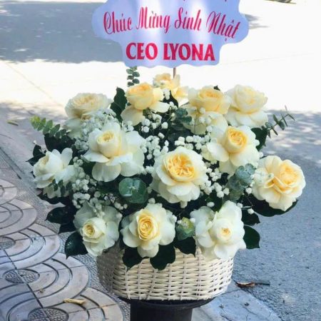 Hoa Giỏ #015 ,.Hoa sinh nhật Hải Phòng